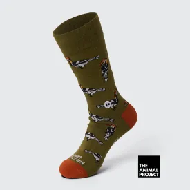 Talking Toes x TAP - Great Hornbill Sock